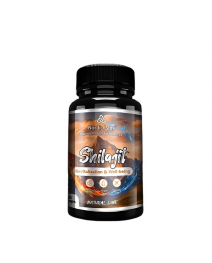 Nordic Labs Shilajit 60 caps