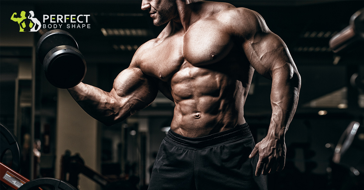 Which type of protein is the best for mass building? The rank of the best muscle mass gainers