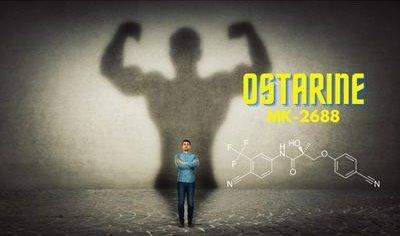 Exploring Ostarine: What it is, How to Use it, and Who Can Benefit from it