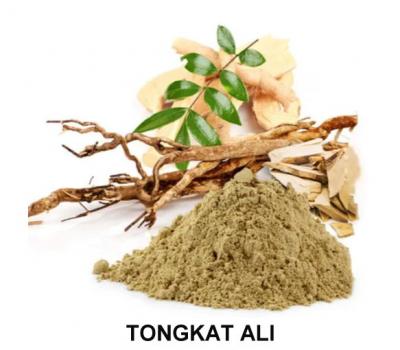 Unlocking the Potential Benefits of Tongkat Ali: The Natural Supplement for Improved Sexual Health, Energy, and Overall Well-Being