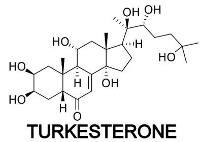 Unlocking the Potential of Turkesterone: The Natural Plant Compound with Surprising Benefits